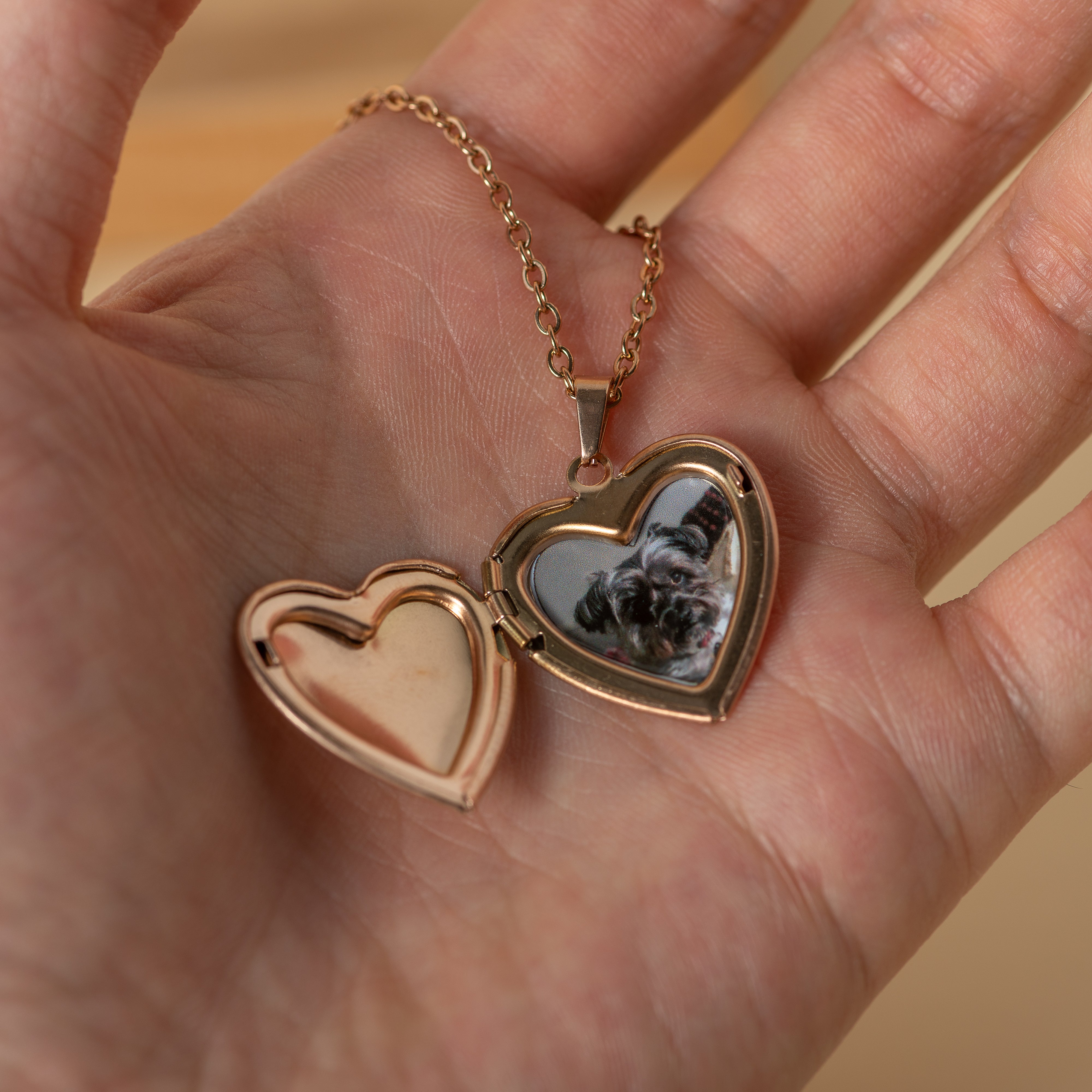 Heart Locket Necklace